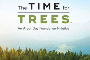 time-for-trees-land